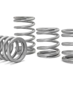 Polaris RZR Pro XP Tender Springs